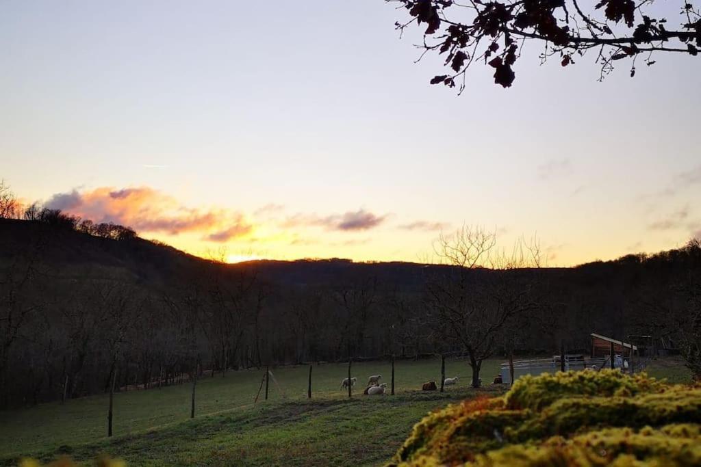 Holiday home Canto Perdigal